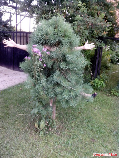 Щедрые дары лета за хорошую работу...