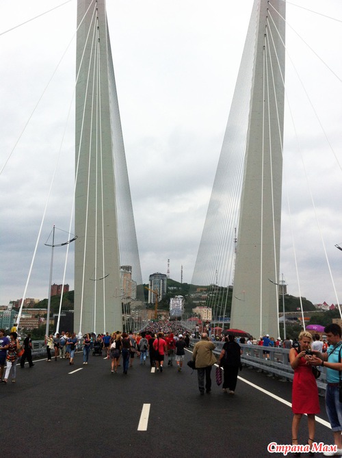Крестовой поход по новому мосту!