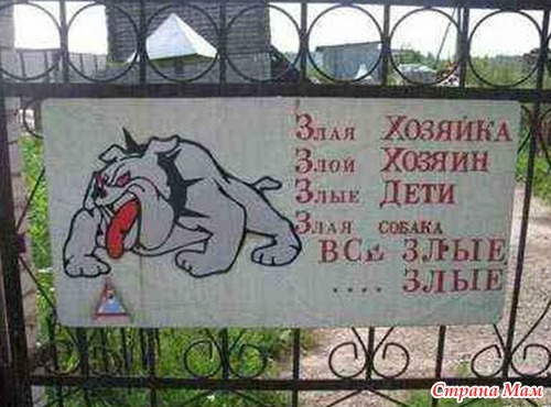 Умом Россию не понять...