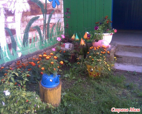 Территория сельской школы