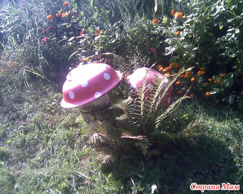 Территория сельской школы