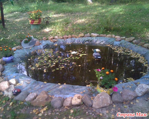 Территория сельской школы