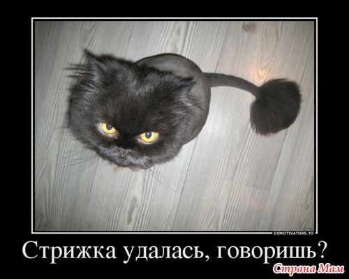    )))