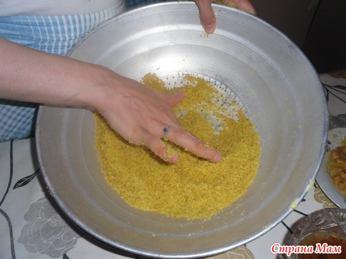 Губа Шор гогалы