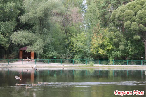 Наш поход в зоопарк!!!