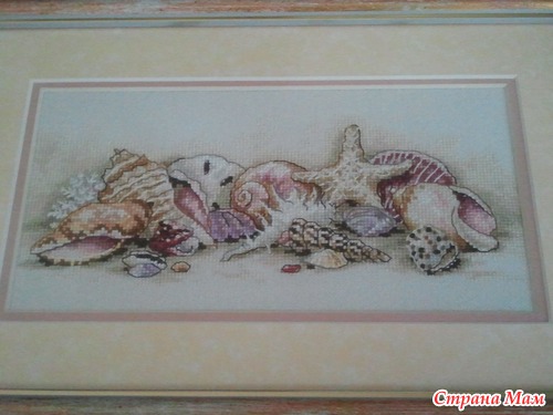 Ракушки от Дим.