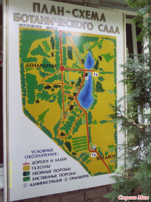 Ботанический сад
