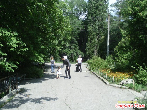 Ботанический сад