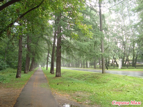 Прогулка в Кусково