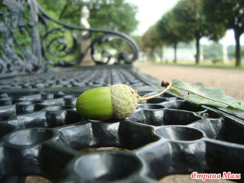 Прогулка в Кусково