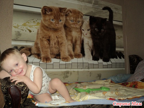 Ура, у нас теперь котики!!!
