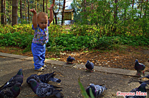 Моя творческая сторона. много фото!