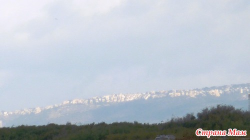 Заповедник Хоф Дор аБоним