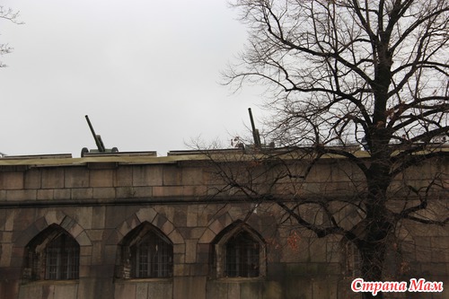 Скромный дневничок нашей поездки в Петербург. Четвертый день.