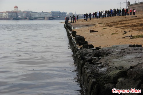 Скромный дневничок нашей поездки в Петербург. Четвертый день.