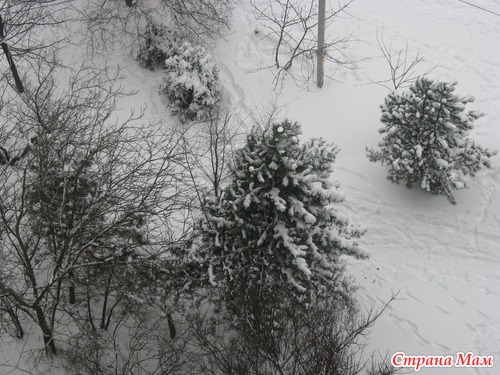 Зима в нашем городе.