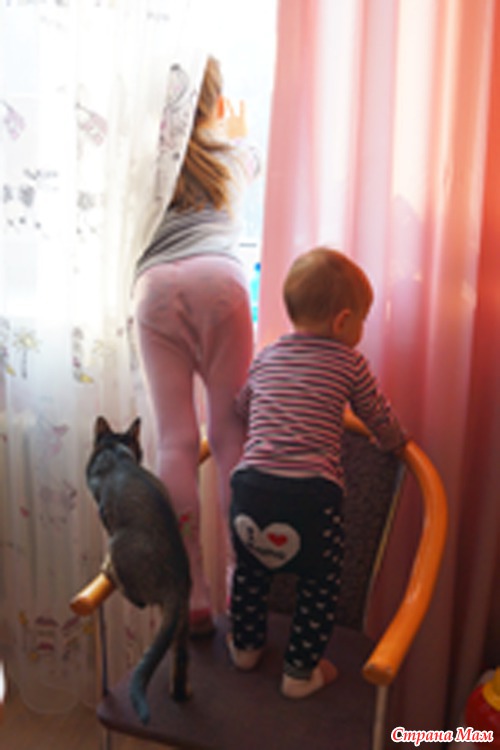 "Собачья жизнь" Тихона