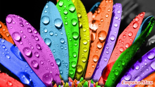 Радужные цветы (Rainbow flowers)