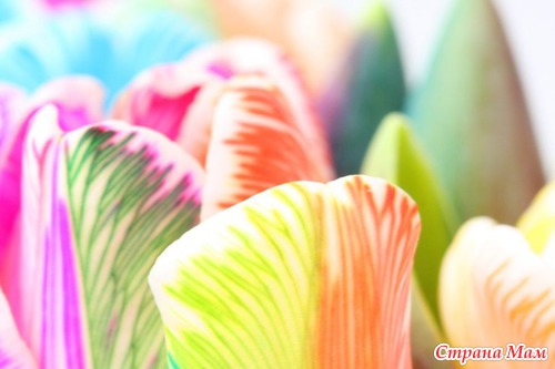 Радужные цветы (Rainbow flowers)