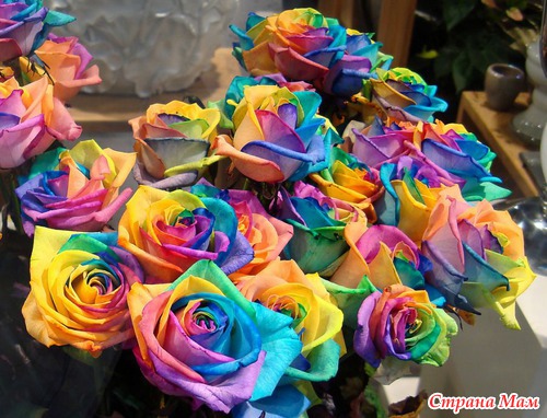 Радужные цветы (Rainbow flowers)