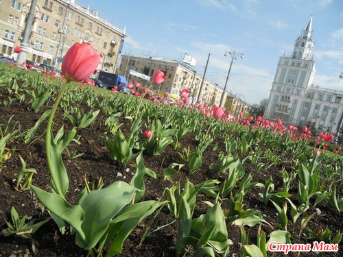 Болтаю о Перми.