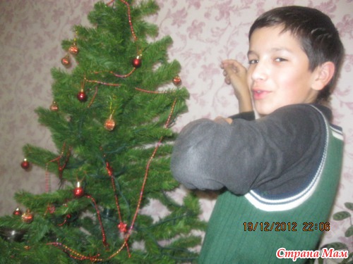 На конец то нарядили елку...