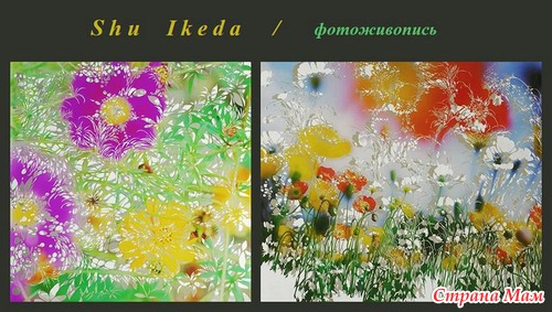 Уникальные работы Shu Ikeda