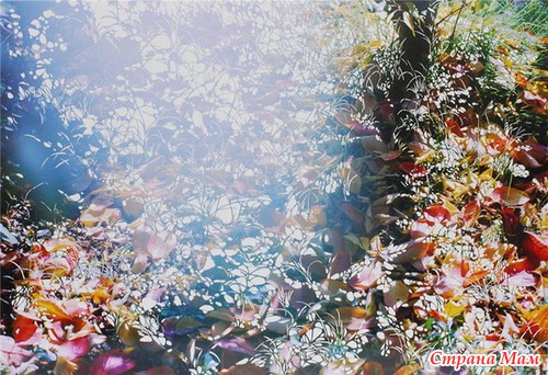 Уникальные работы Shu Ikeda