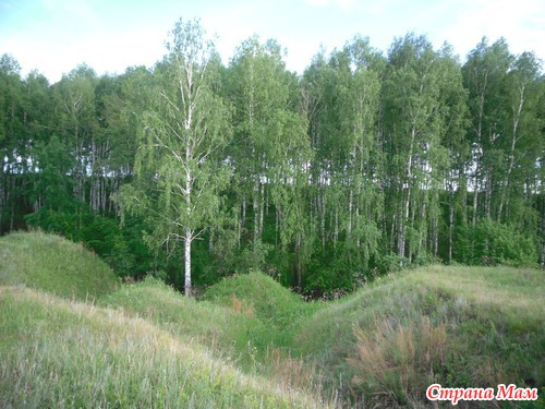 Велопрогулки (жажда лета)