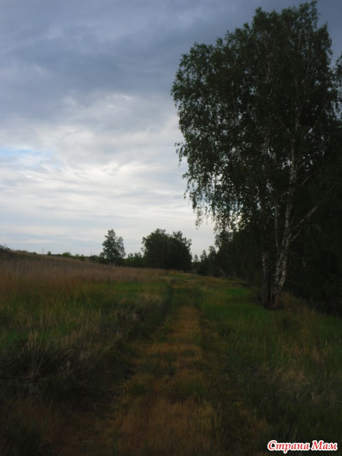 Велопрогулки (жажда лета)
