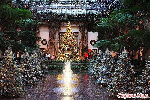 MERRY CHRISTMAS