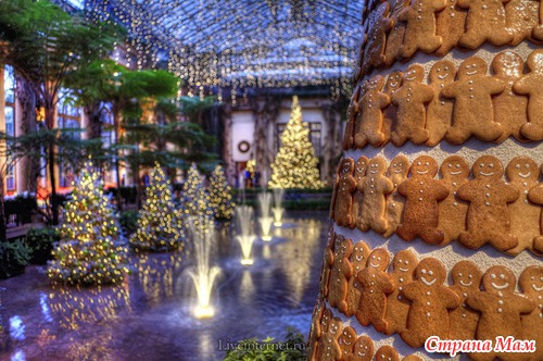 MERRY CHRISTMAS