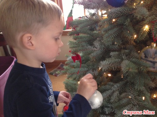 В лесу родилась елочка...