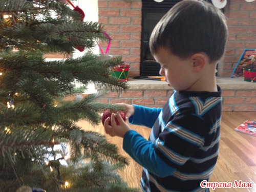 В лесу родилась елочка...