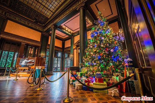 MERRY CHRISTMAS