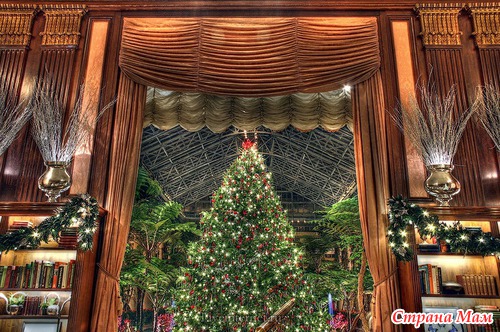 MERRY CHRISTMAS