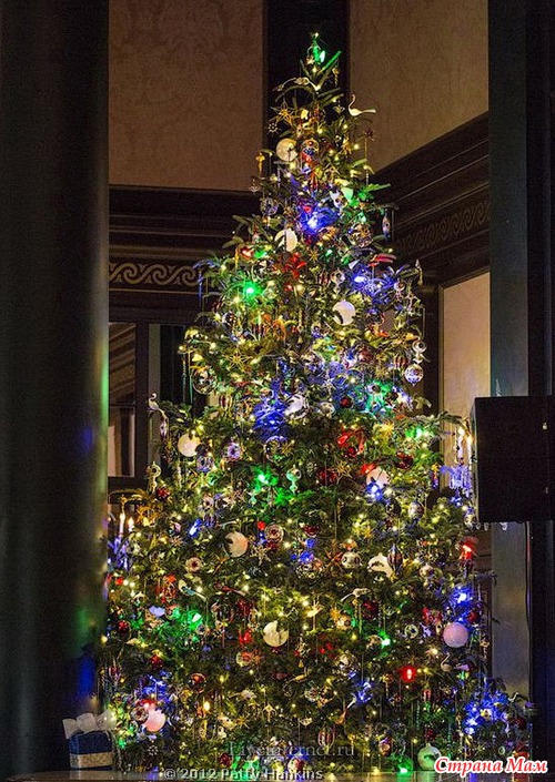 MERRY CHRISTMAS