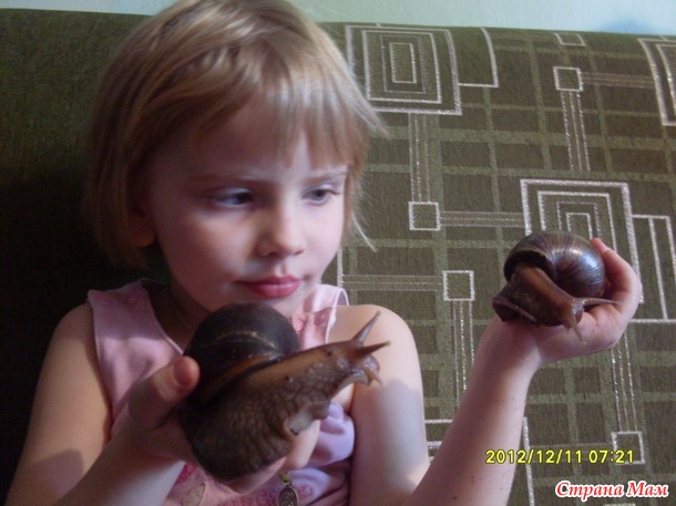 Вылупились
