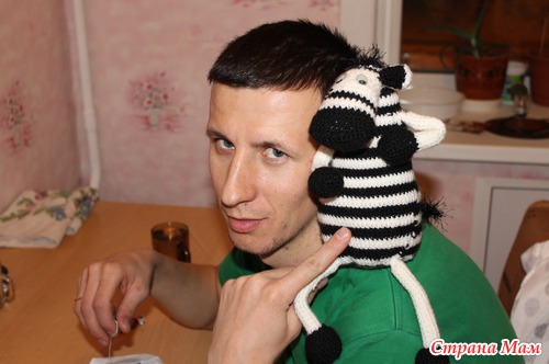 Зебра