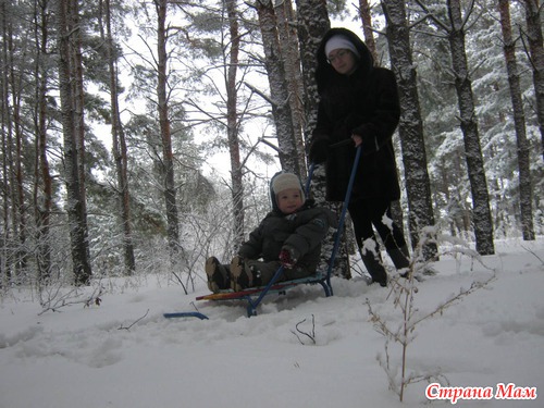 Зима в снегу