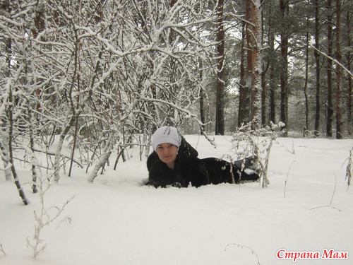 Зима в снегу