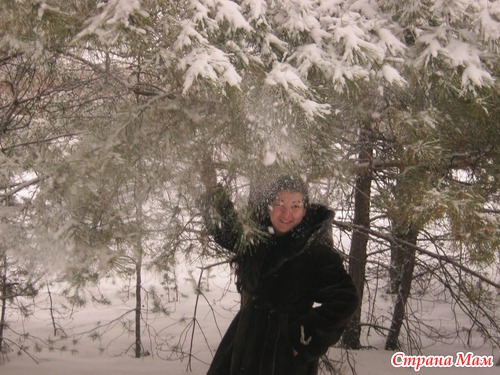 Зима в снегу