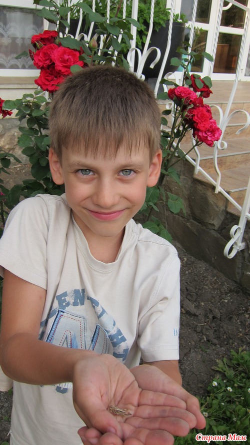 Симферопольский ботанический сад им. Вернадского