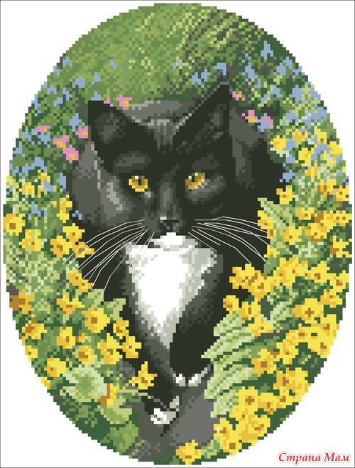 Кошечки-милашки
