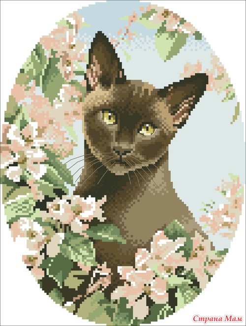 Кошечки-милашки
