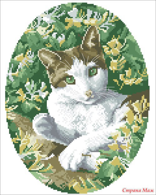 Кошечки-милашки