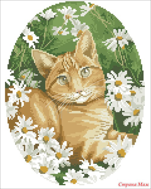 Кошечки-милашки