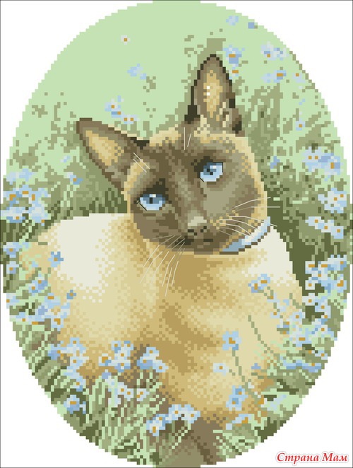 Кошечки-милашки