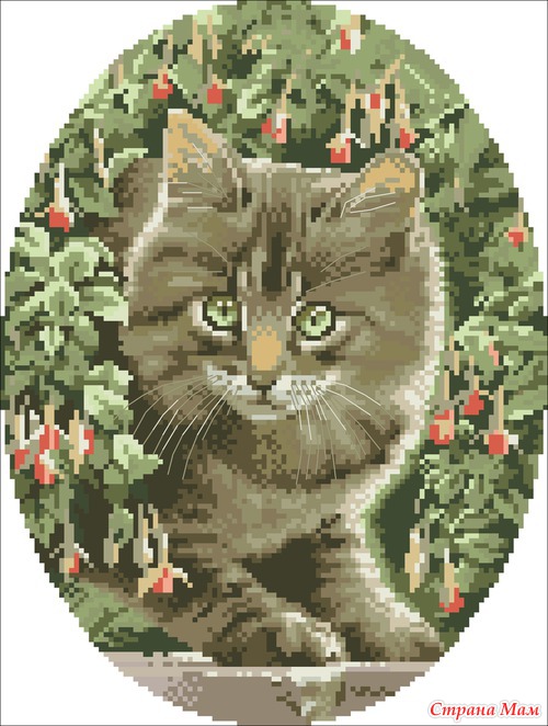 Кошечки-милашки