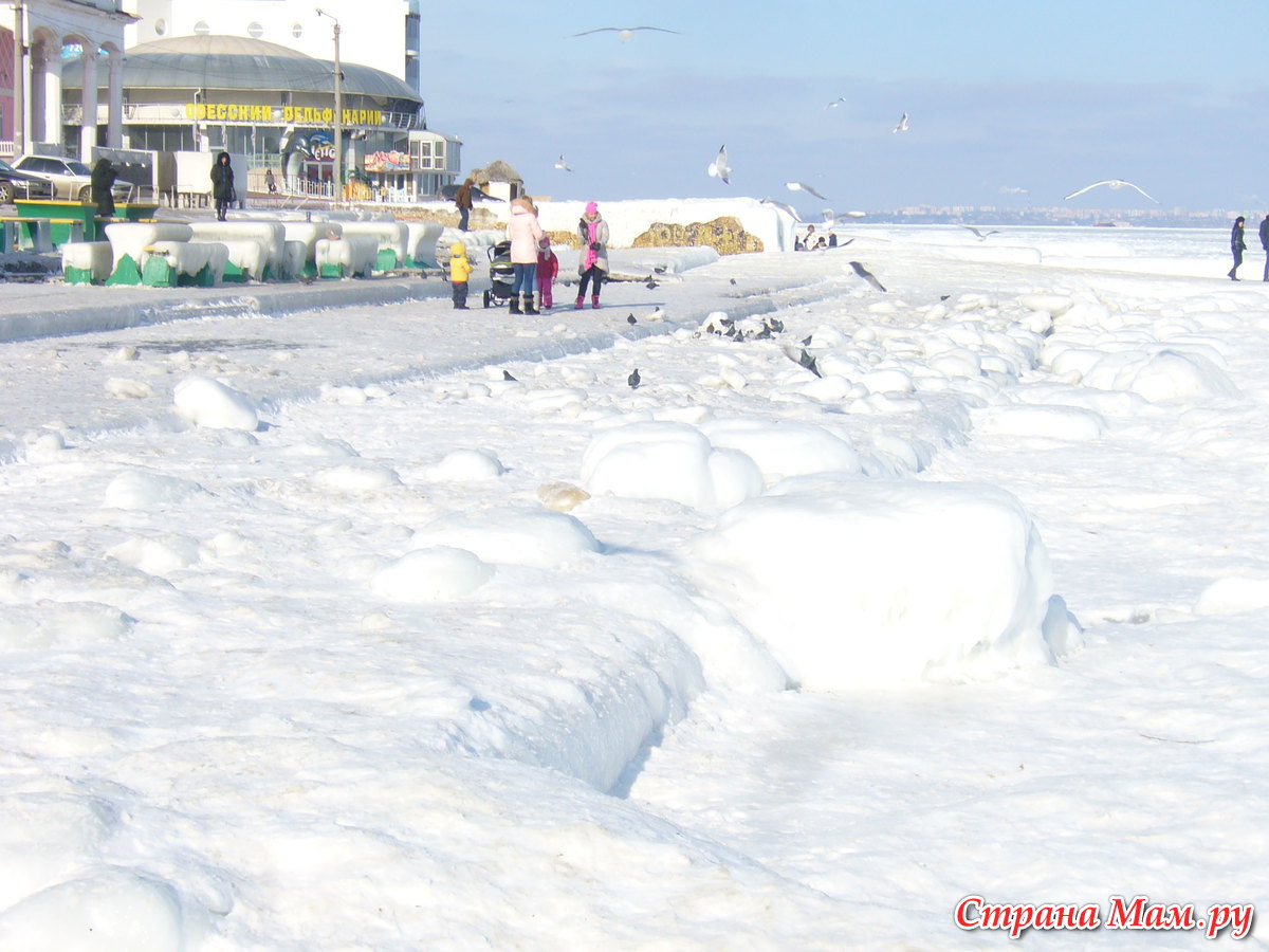 Море Замерзло Фото